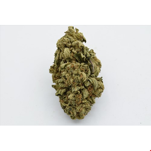 Cherry Fritter (Hybrid) - SALE 1 OZ $65